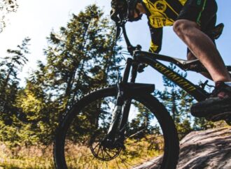 What Bike Is Best For Your Needs?